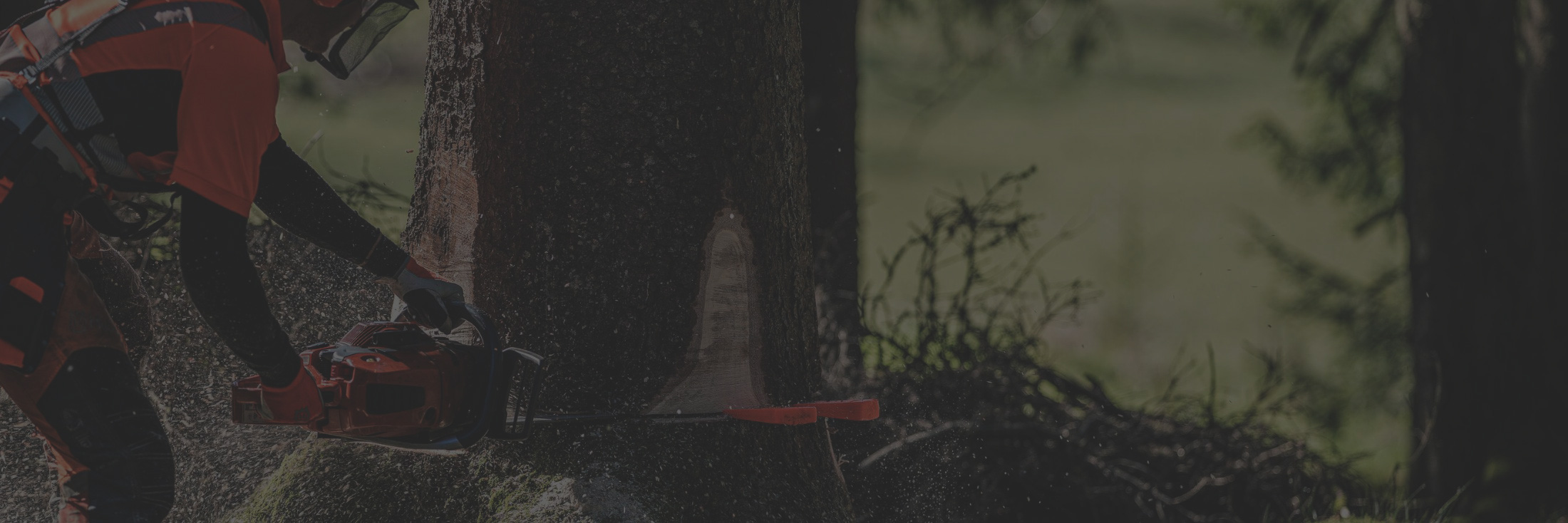 fondo-categorias-agroluk